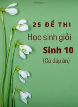 Bộ 25 Đề thi học sinh giỏi Sinh 10 (Có đáp án)